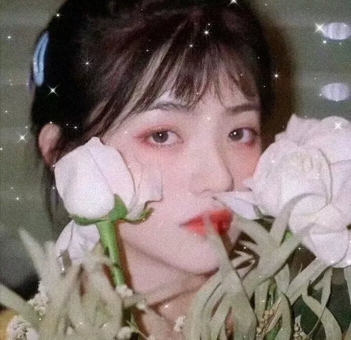 灌篮高手电影版
